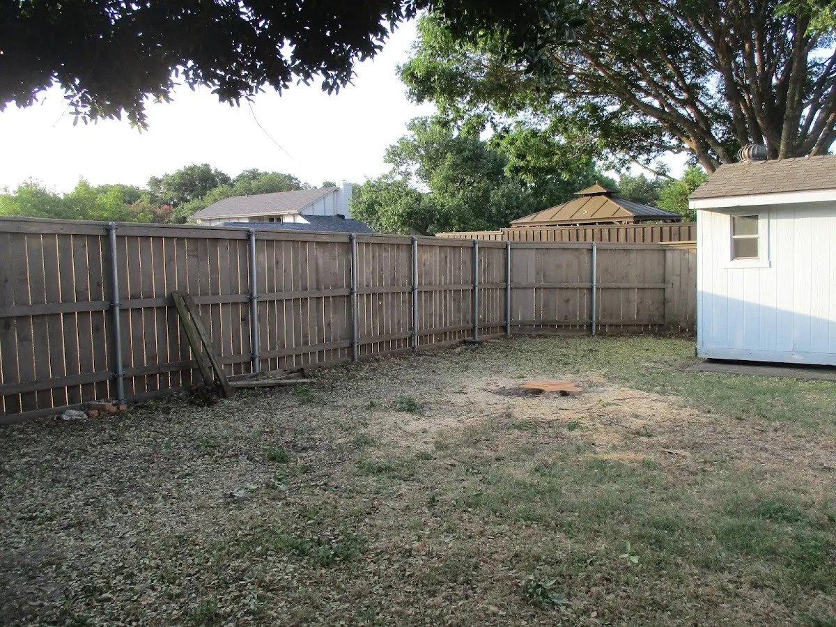 Cleared yard after professional tree removal in Wagon Mound