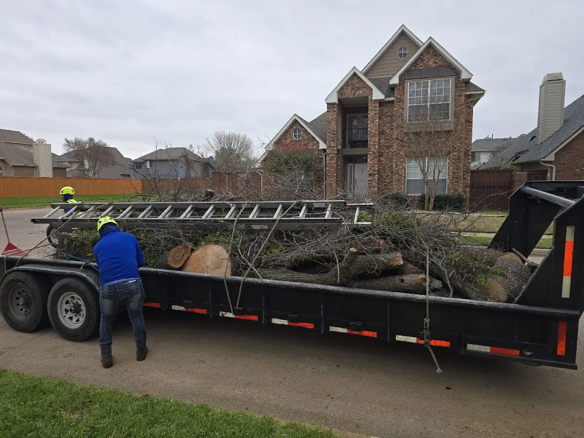 Expert Tree Fertilization with proper safety equipment in Wagon Mound